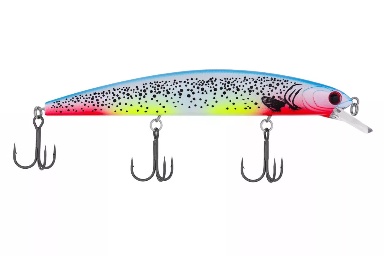VISION Minnow