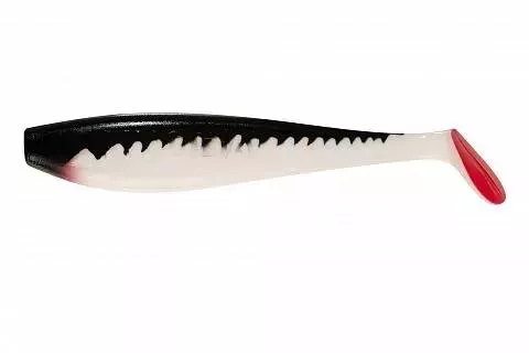 KYODA TUNNY